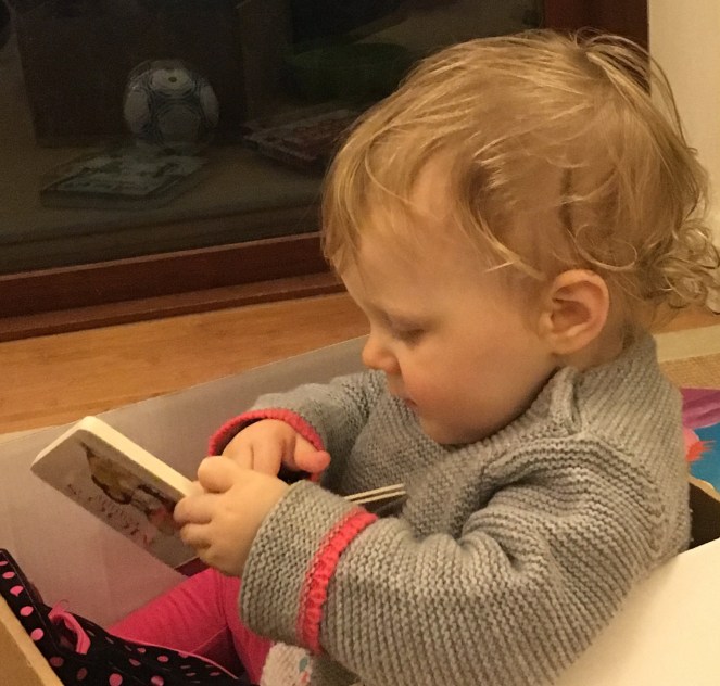 52F2C6C2-FF01-4AC0-979A-6464F6432993