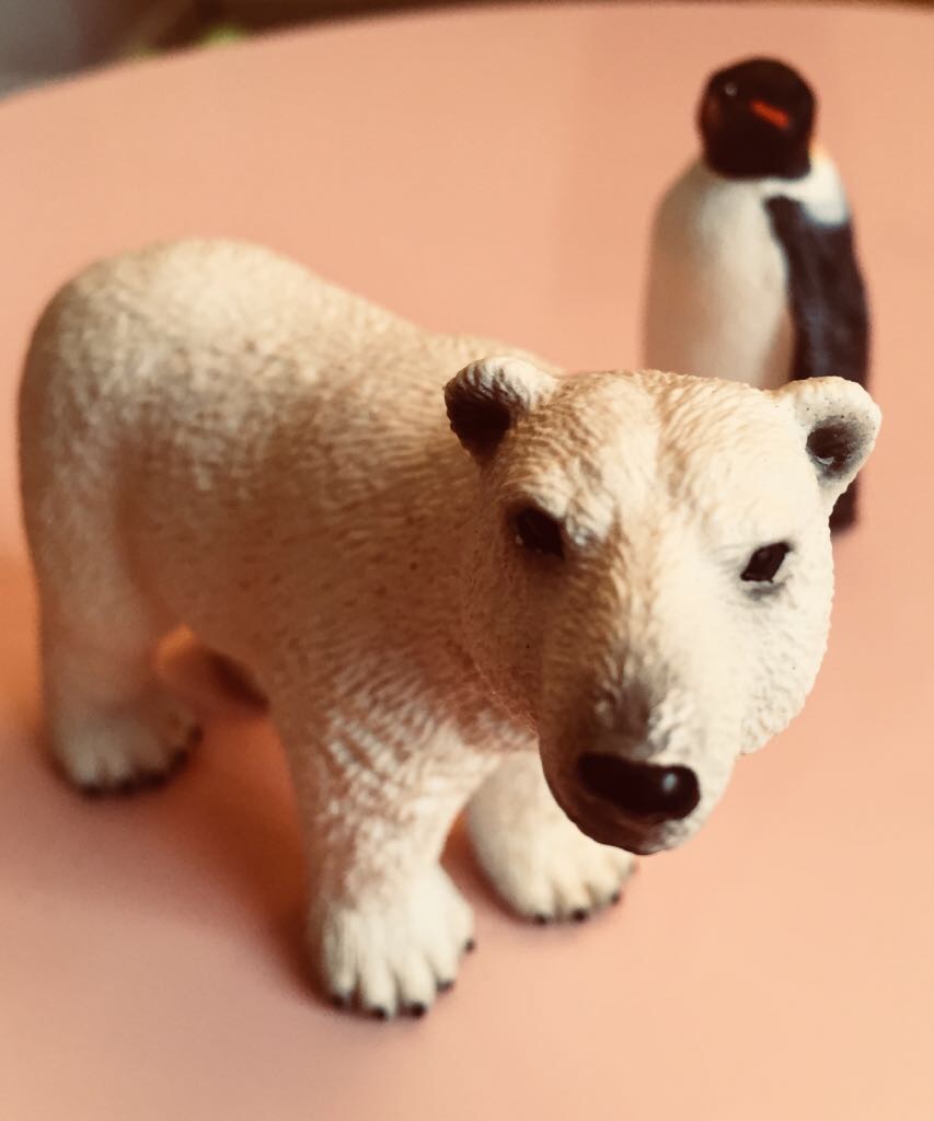 56C2680A-8842-4EDC-9B19-06C90D8F317D