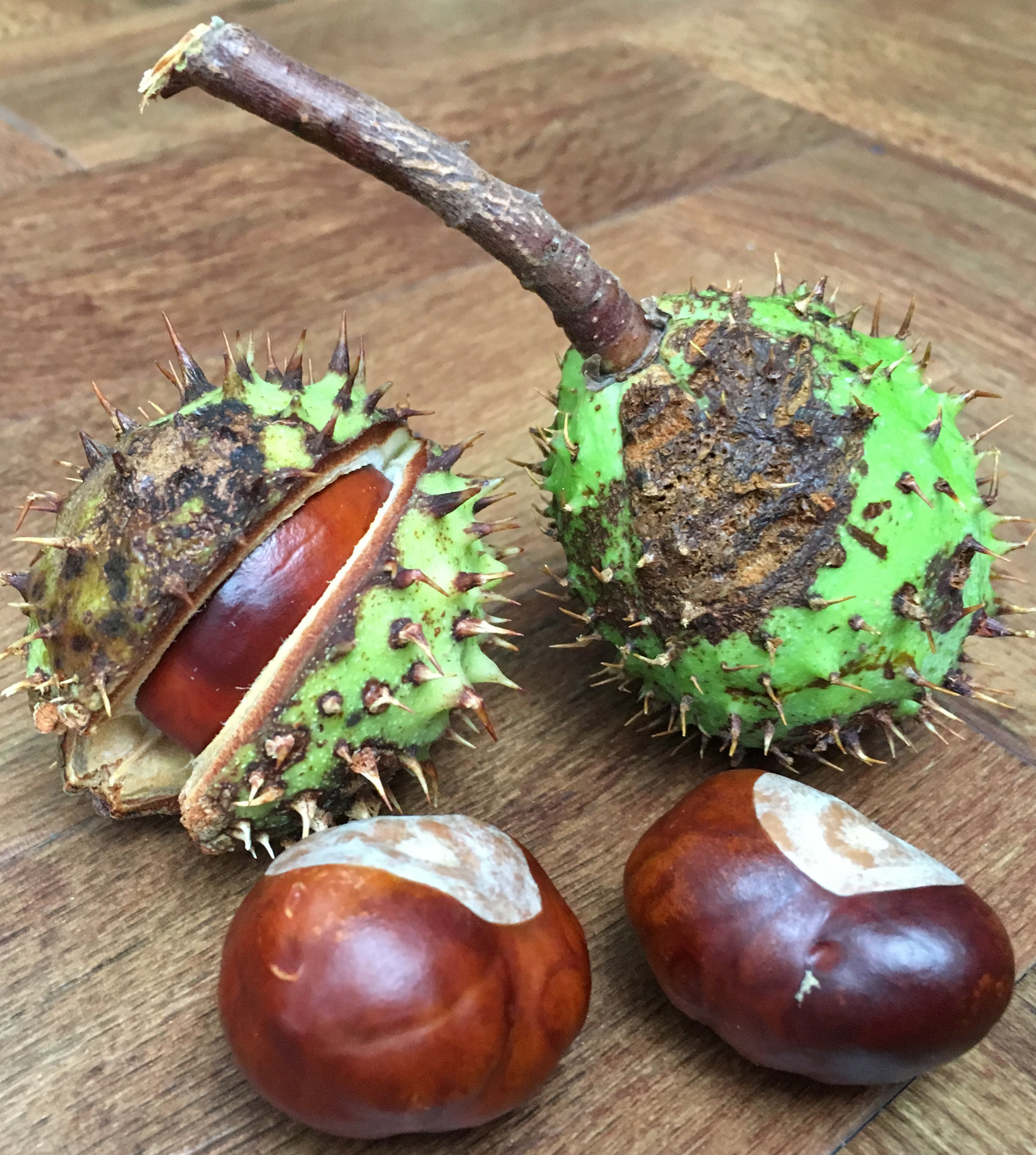 AA542FD7-AFA4-4E27-B69B-827C895C9065