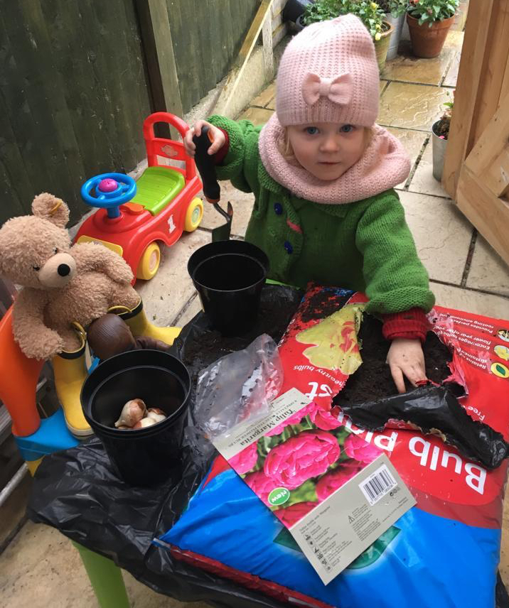A child in winter clothes helping her parents with gardening, grabbing a fistful of compost, with her teddy bear sitting nearby wearing yellow wellington boots