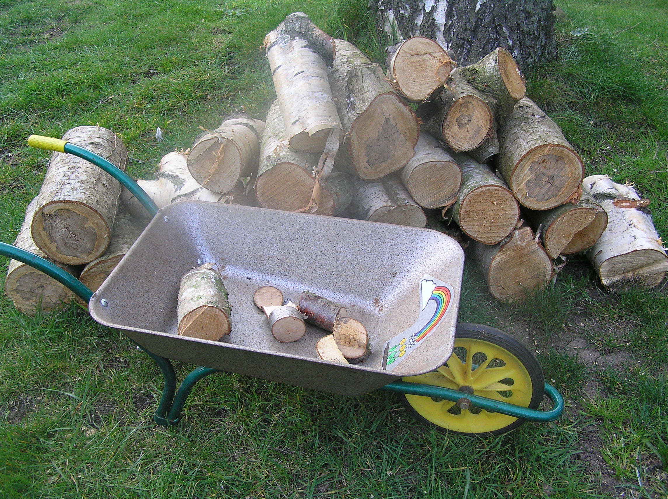 A child's wheelbarrow, half full of logs, is pictured in a garden next to a pile of smaller logs