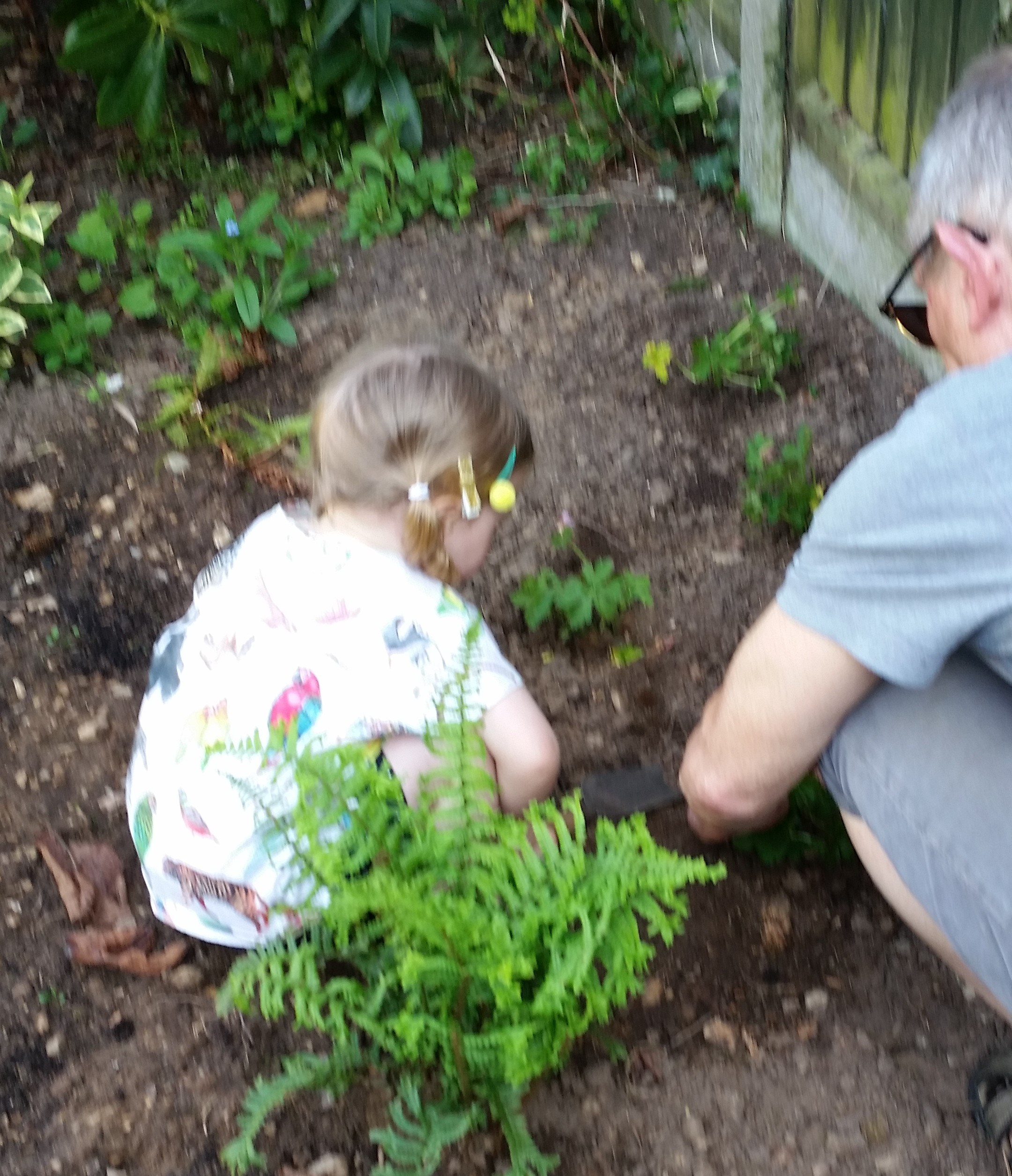 A young child squats in a flower bed with an adult as they undertake a gardening activity together