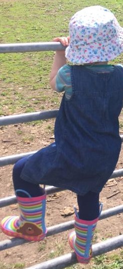A child climbing up the metal rungs of a gate. She is using it like a ladder.