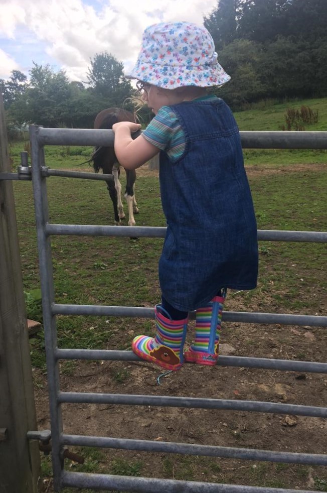 A child climbing up the rungs of a metal gate, which leads to a horse paddock. She is using it like a ladder.