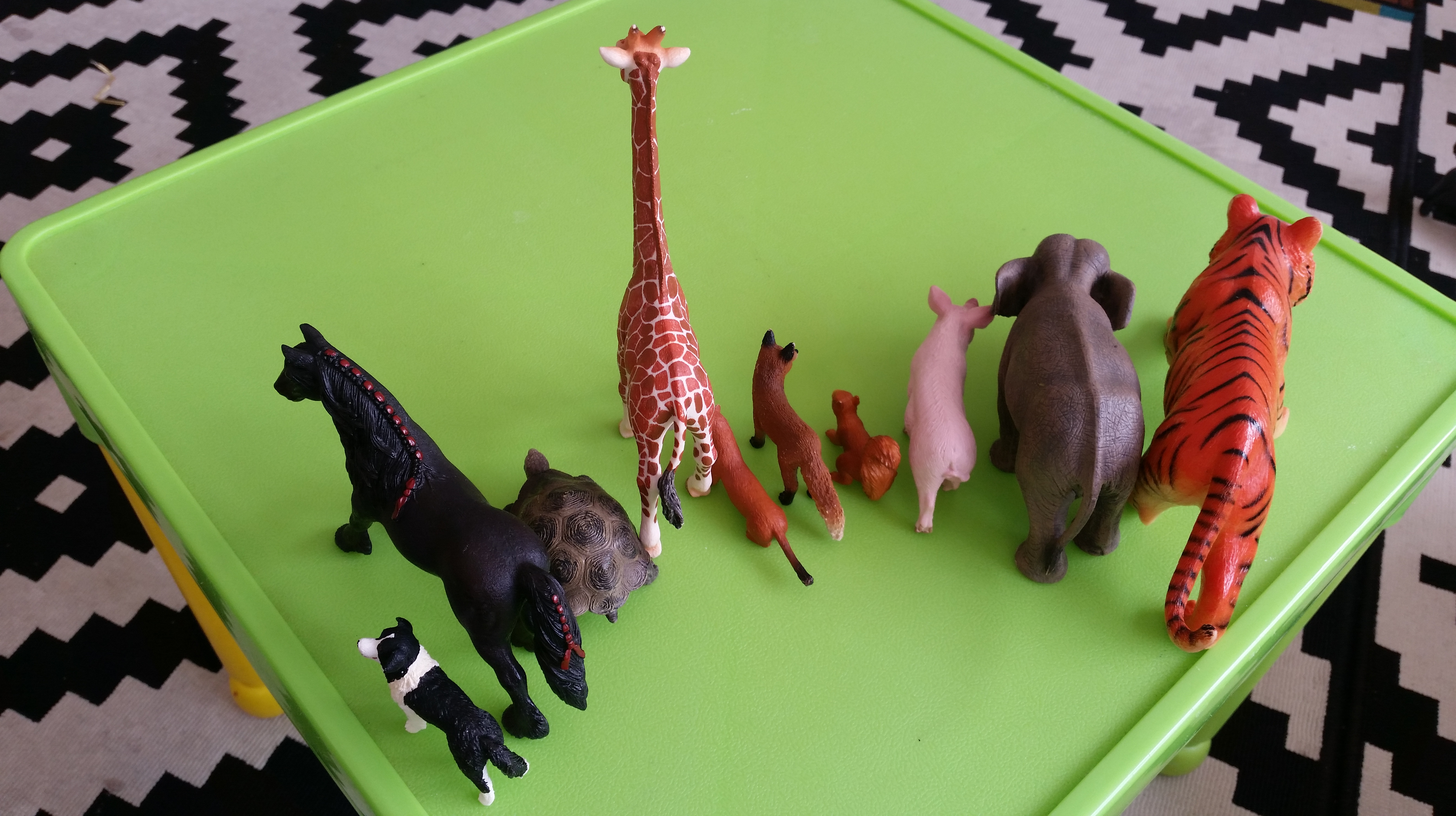A set of toy animals arranged by size: a dog, a horse, a tortoise, a giraffe, a ferret or stoat, a fox, a squirrel, a pig, an elephant and a tiger.