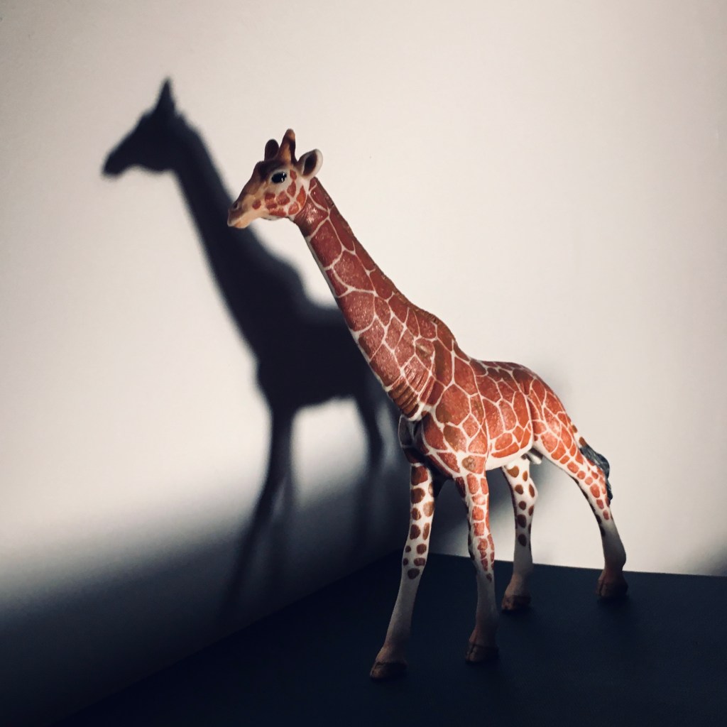 A toy giraffe stands next to a wall with its shadow or silhouette shown behind it