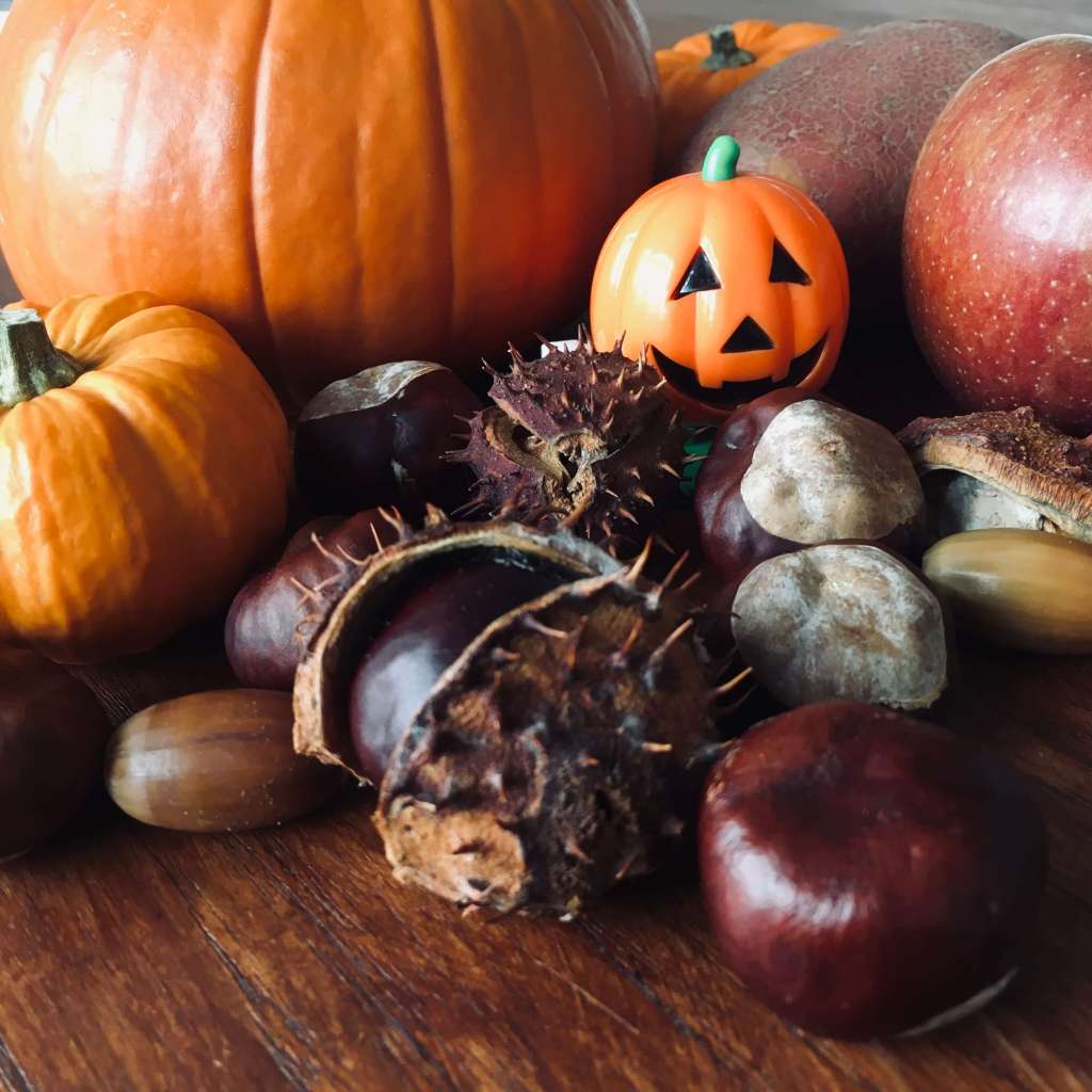 A large amount of seasonal produce if shown – pumpkins, conkers, acorns, potatoes and apples. Along with a toy Halloween pumpkin