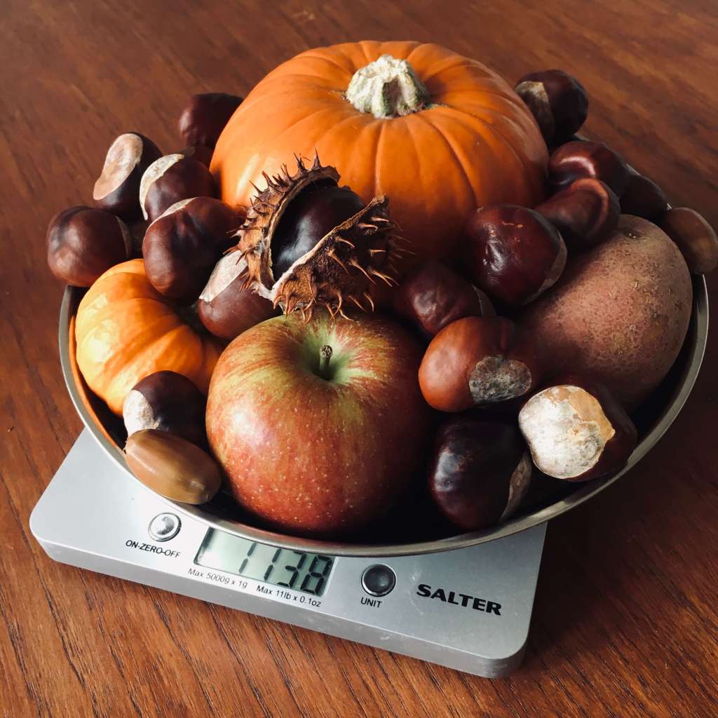 A set of digital weighing scales, with the scale basket filled with large and small pumpkins, conkers, acrons, apples and a potato