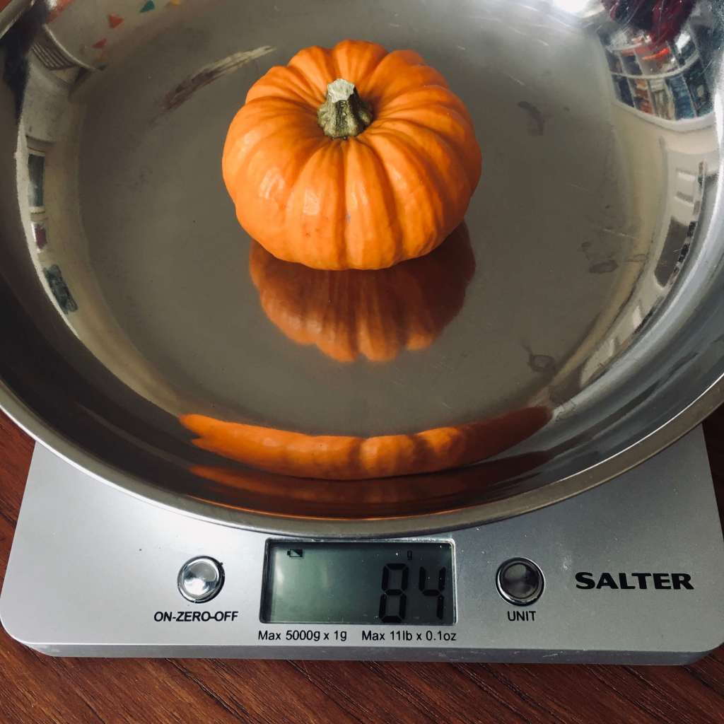 A mini pumpkin on a set of weighing scales