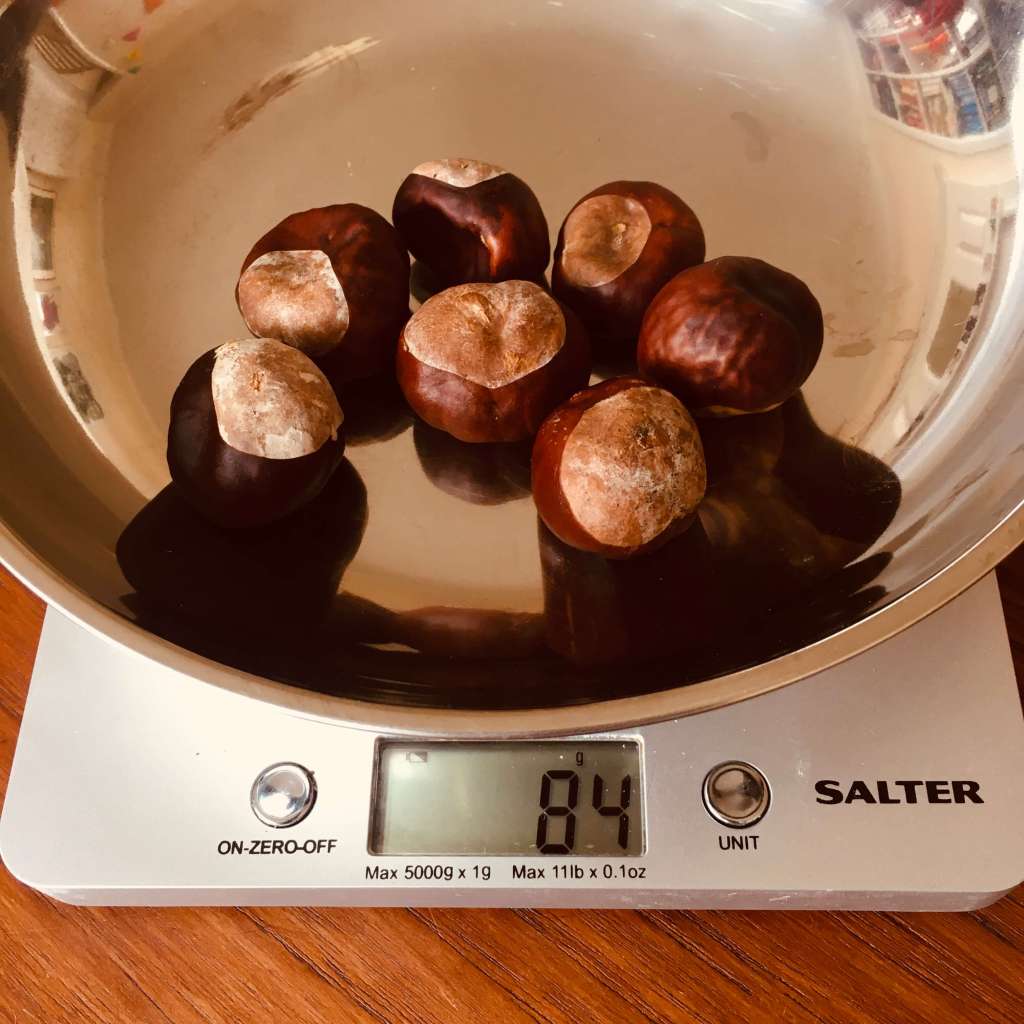 A collection of conkers on a set of weighing scales