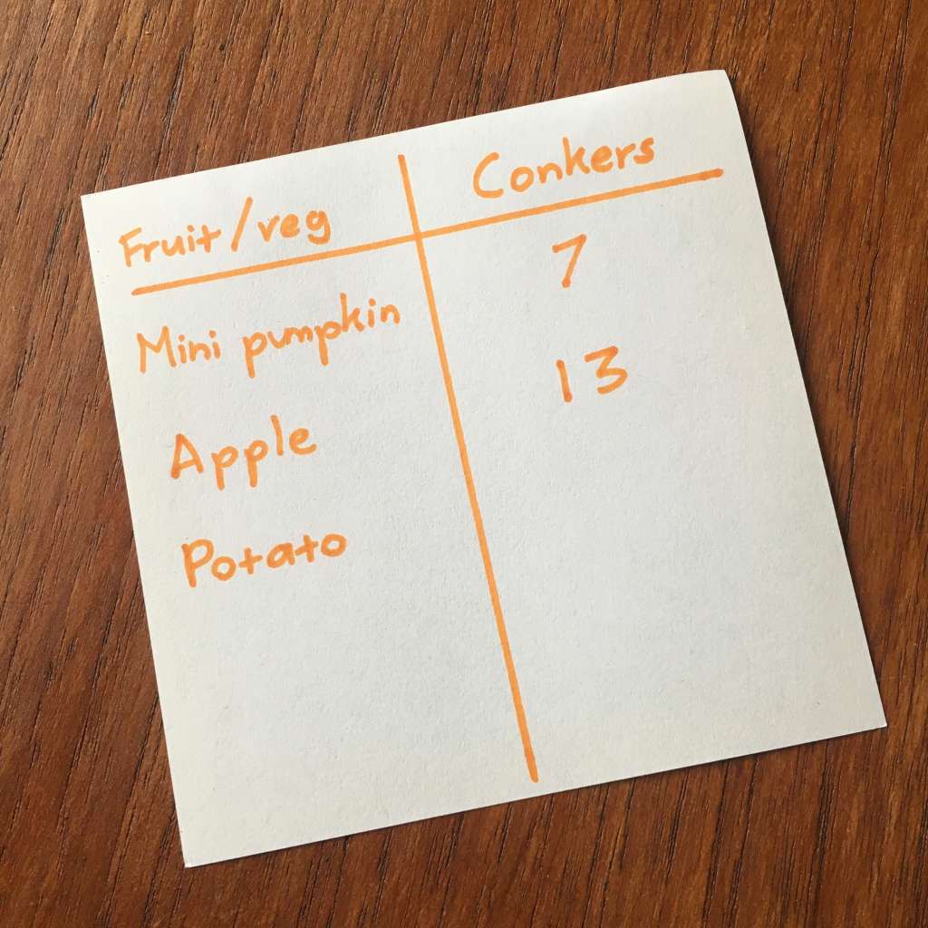 A list showing the weight of various items – a mini pumpkin, apple and potato – in comparative terms of how many conkers they are equal too.