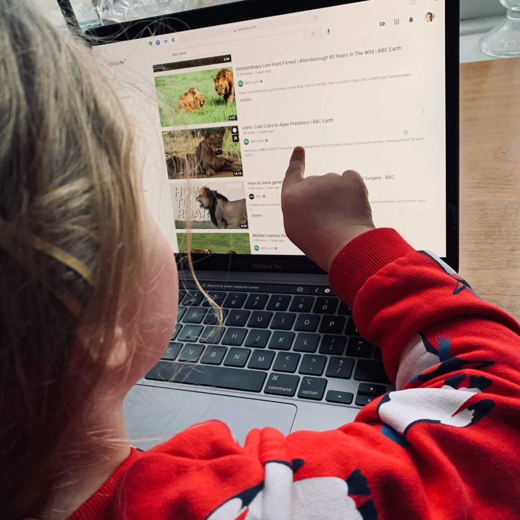 a preschool girl uses the internet under supervision to search for lion videos