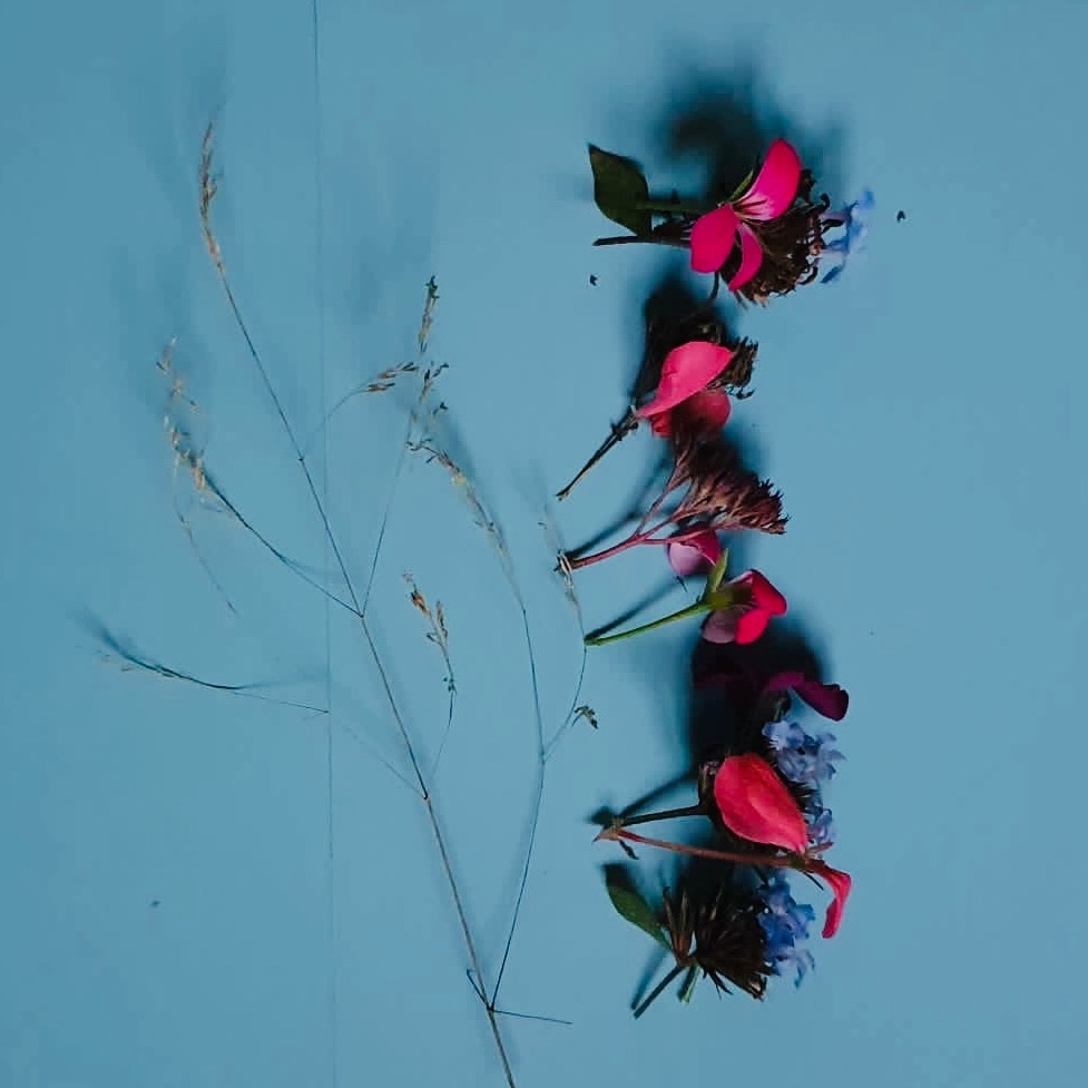 A transient art collection: dried flowers and fresh flowers